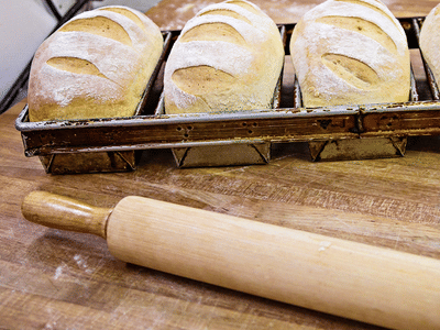 Great Harvest Bread - Greenville, NC