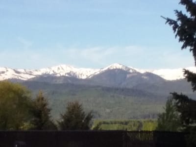 Great Northern Coffee Co