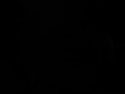 Greater Things Roasters