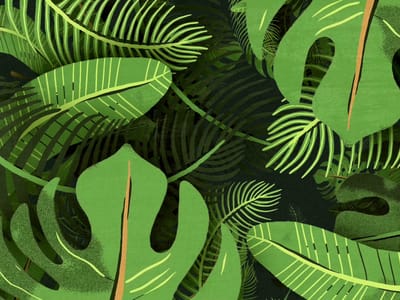 Green Light CBD Cafe