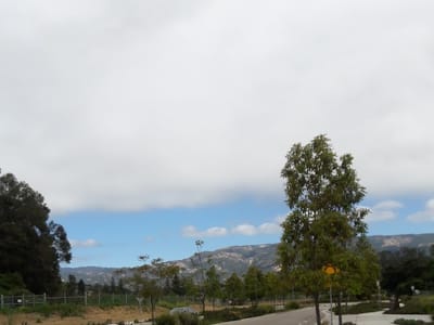 Green Star Coffee Roastery