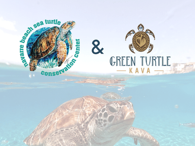 Green Turtle Kava Bar - Daytona Beach