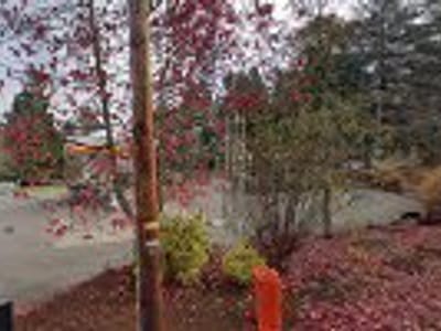 Greenwood Coffee Co.