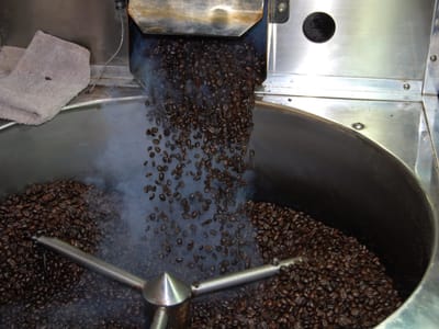 Grounds for Celebration