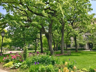 Grounds of Being: The Divinity School Coffee Shop