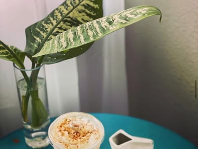 Groundz Espresso & Co.