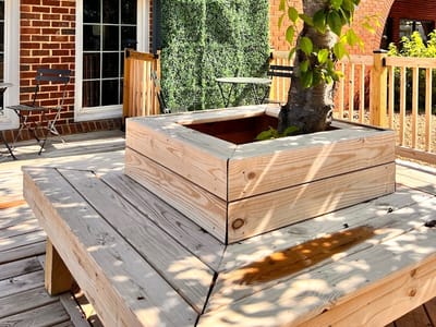 Guilty Pleasure Coffee Shop (Homemade)