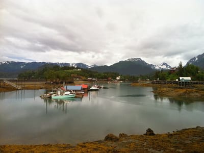 Halibut Cove Coffee House