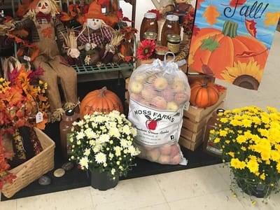 Hanging Dog General Store