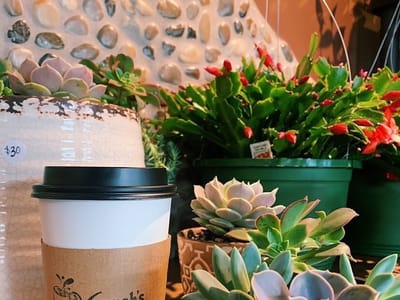 Hannah's Coffee House