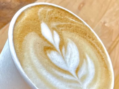 Hansa Coffee Roasters