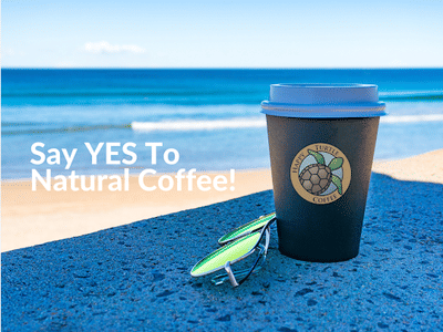 Happy Turtle Coffee