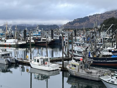 Harborside Coffee & Goods