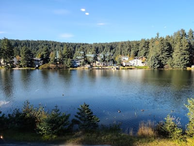 Harborside Fly-by Coffee