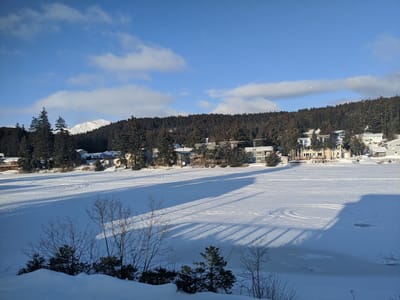 Harborside Fly-by Coffee