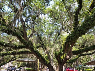 Harbour Town Bakery & Cafe