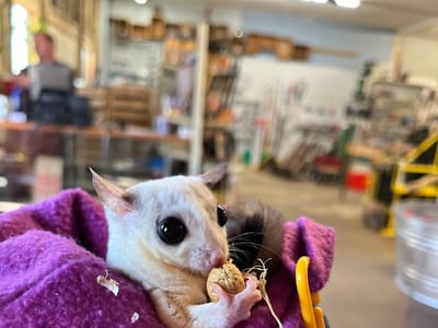 Hardware On The Square | Hardware Store| Coffee Shop| San Augustine