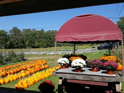Harney & Sons Fine Teas Headquarters