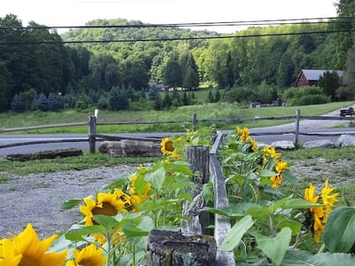 Harney & Sons Fine Teas Headquarters