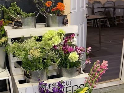 Harrod's Perk and Chill