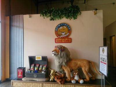 Hawaii Coffee Company