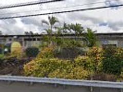 Hawaiian Moonbeans Coffee