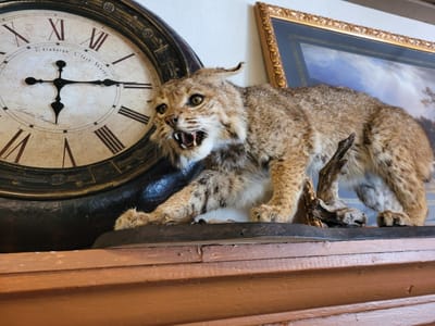 Heart Coffee Company