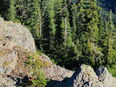 Heavenly Grounds Espresso