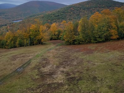 Hendrick's Summit Lodge