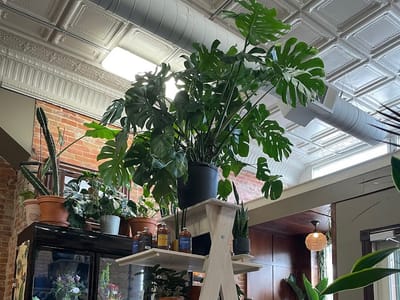 Herban Coffee and Blooms