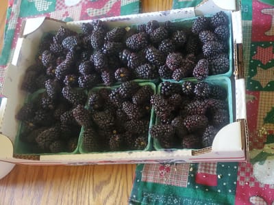 Heritage Market & The Coffee Shack