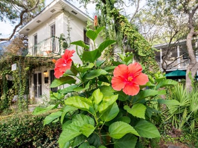 Hibiscus Coffee & Guesthouse