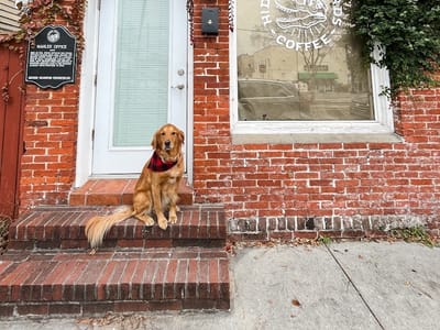 Hidden Grounds Coffee