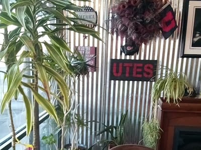 Hidden Peaks | Coffee + Roasting Company