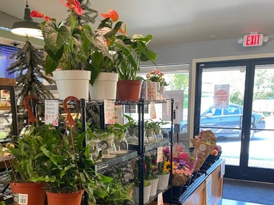 High Country Health Foods