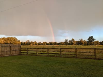 Higher Grounds Coffee, Tea, Smoothies & Sandwiches