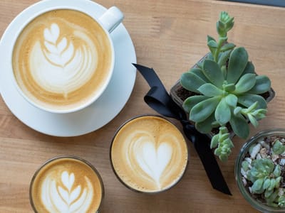 Hob Coffee East Village