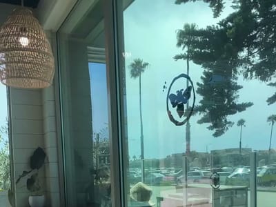 Honey Cup Coffeehouse & Creamery