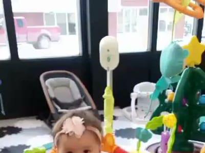 honey hippo. Play Café