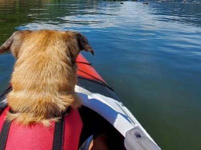 Hood River Coffee Roasters