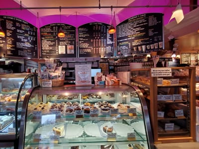 Hot Chocolate Sparrow