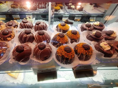 Hot Chocolate Sparrow