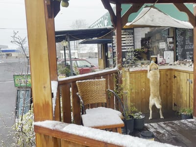 Hot Stuff Espresso (Espresso Tribe)