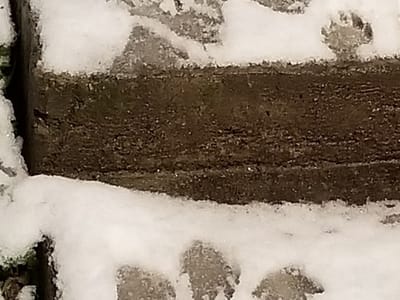 Hotshot Coffee Shack