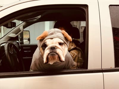 HotShots Coffee & Espresso