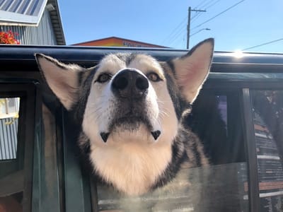 HotShots Coffee & Espresso