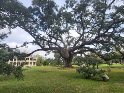 Houmas House and Gardens