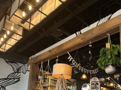 House of Vibes Coffee and Curio