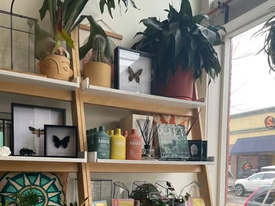 Howl Mercantile & Coffee