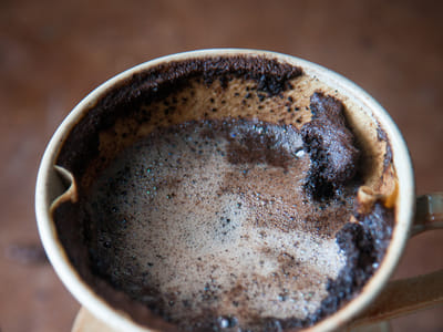 Humboldt Bay Coffee Company